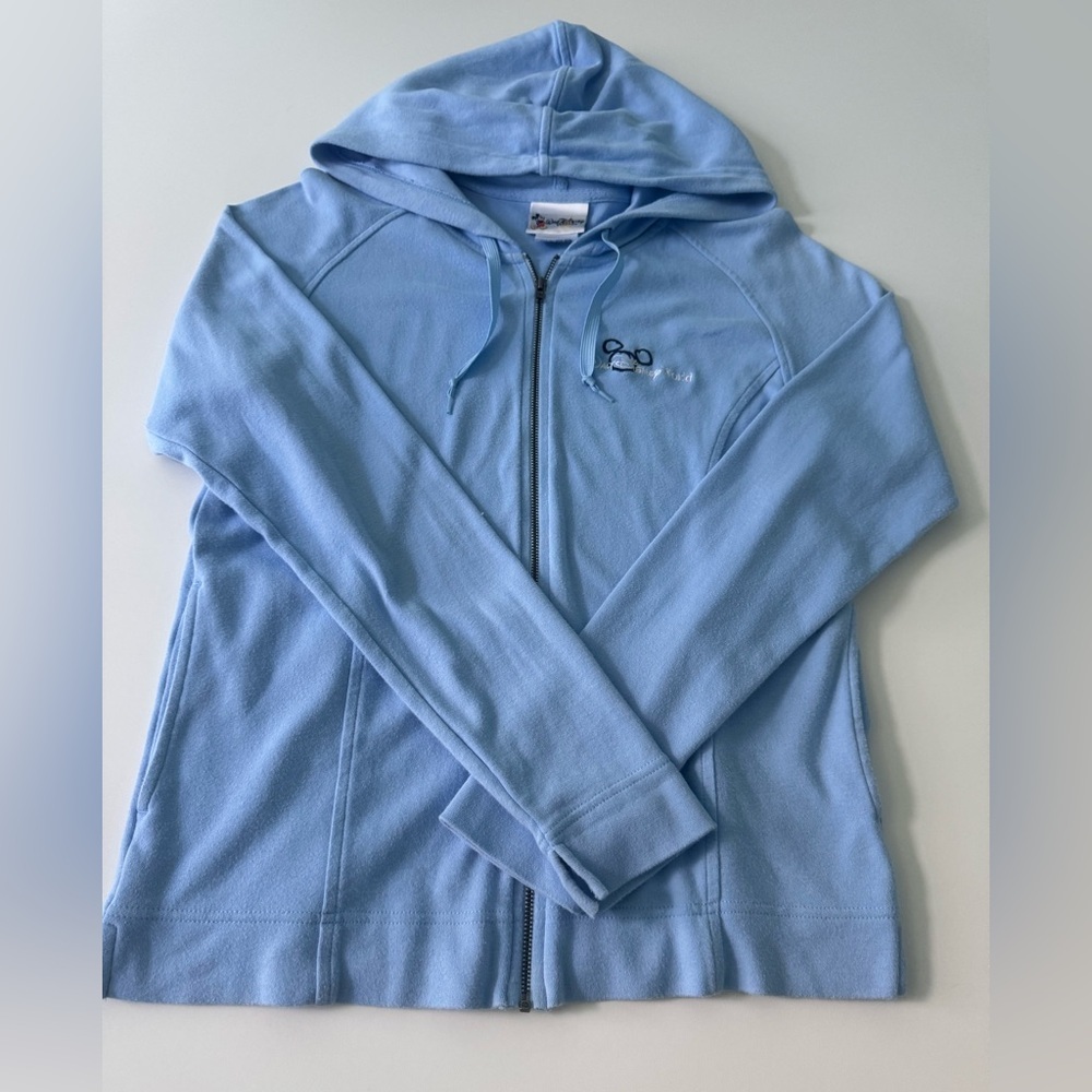 Disney World Zip Up Logo Hoodie